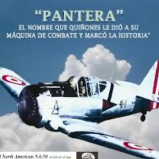 Día de la fuerza aérea✈️💞2🇵🇪Movi 28