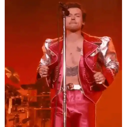 Harry Styles 2 🧸🇲🇽 21