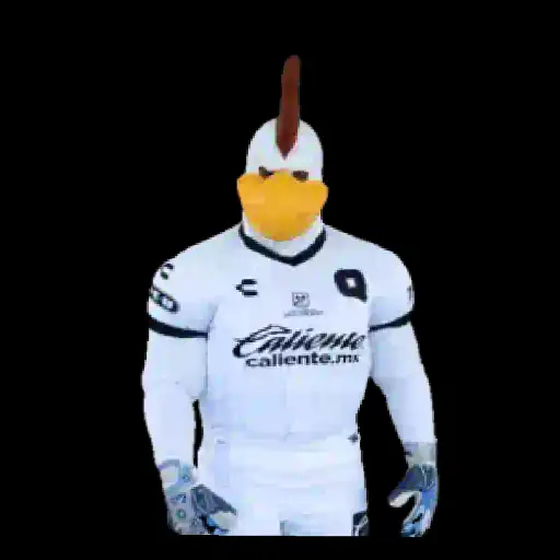 Gallo Futbolista⚽💞1🇵🇪Movi 18