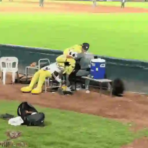 Mascotas Pollo y Pia Algodoneros Unión Laguna⚾֍1🇲🇽Movi 14