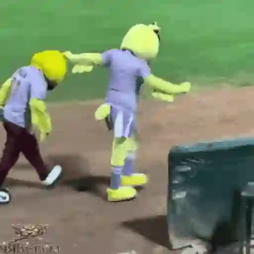 Mascotas Pollo y Pia Algodoneros Unión Laguna⚾֍2🇲🇽Movi 1