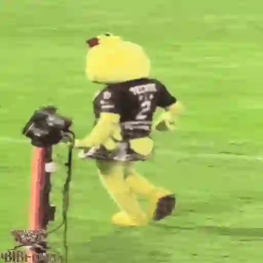 Mascotas Pollo y Pia Algodoneros Unión Laguna⚾֍1🇲🇽Movi 9