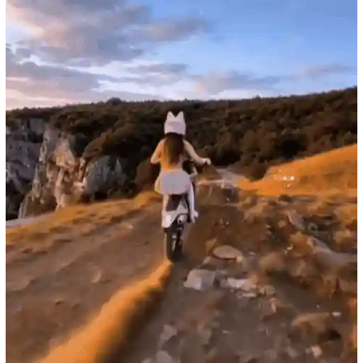 Moto Pinky 🧸🇲🇽 2