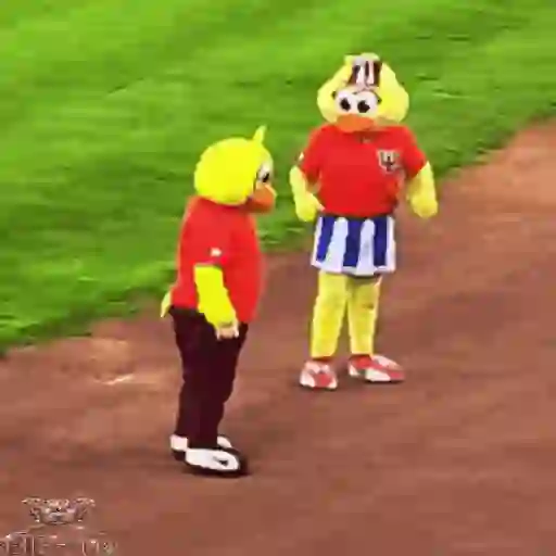 Mascotas Pollo y Pia Algodoneros Unión Laguna⚾֍2🇲🇽Movi 6