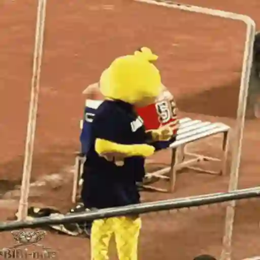 Mascotas Pollo y Pia Algodoneros Unión Laguna⚾֍1🇲🇽Movi 19