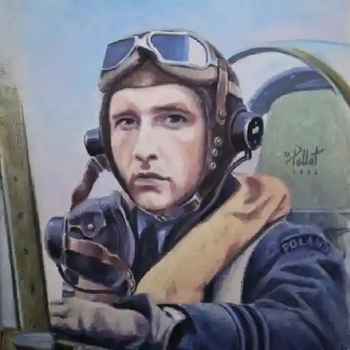 Día de la fuerza aérea✈️💞2🇵🇪Movi 5