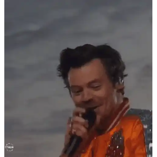 Harry Styles 2 🧸🇲🇽 10