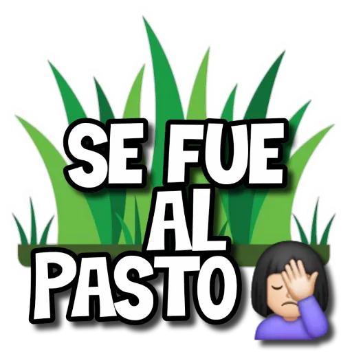 👉Variado 2134👈 mov 17