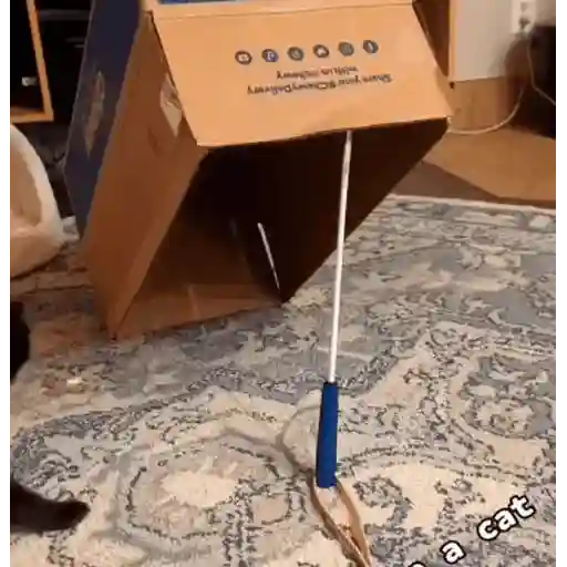 😼 Gatos e Caixas 📦 23