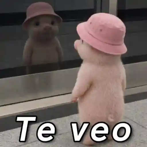 tiernos para contestar 🐇🐣🐱 14