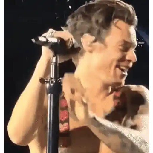 Harry Styles 2 🧸🇲🇽 15