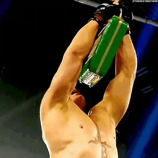 🔥 Brock Lesnar 💪🏼 29