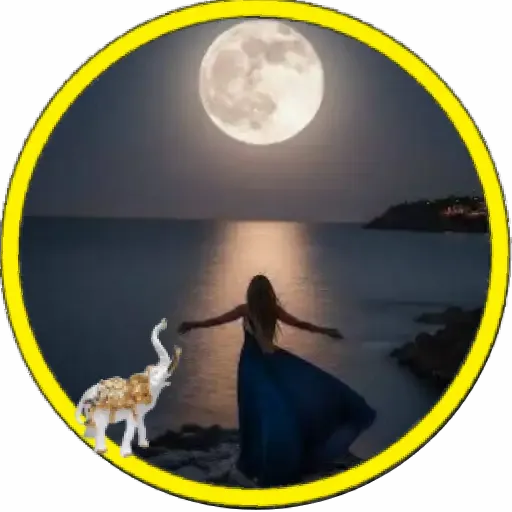 Luna🌙💞2🇵🇪Movi 14