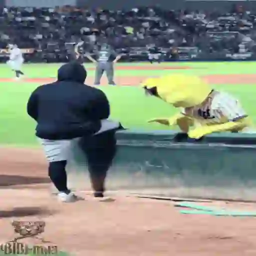 Mascotas Pollo y Pia Algodoneros Unión Laguna⚾֍1🇲🇽Movi 4