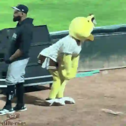 Mascotas Pollo y Pia Algodoneros Unión Laguna⚾֍2🇲🇽Movi 17