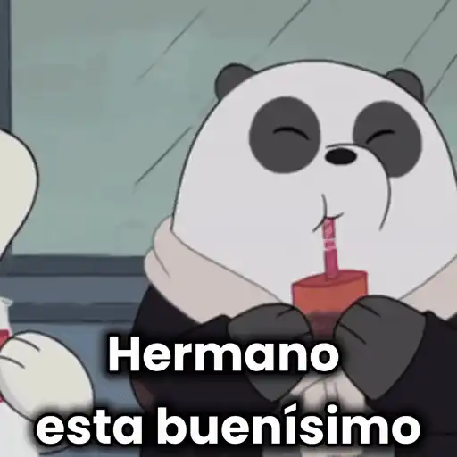 Escandalosos🐻🐼🐻‍❄️ 24