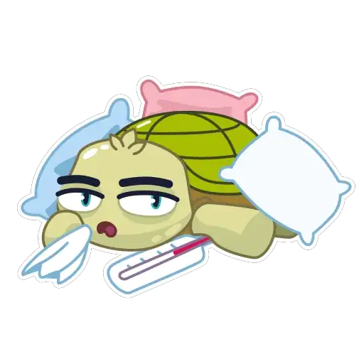 turtle mov 24