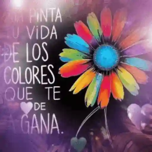 Not 🧸🇲🇽 4
