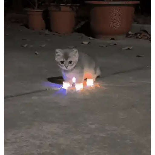 Cats 🧸🇲🇽 1