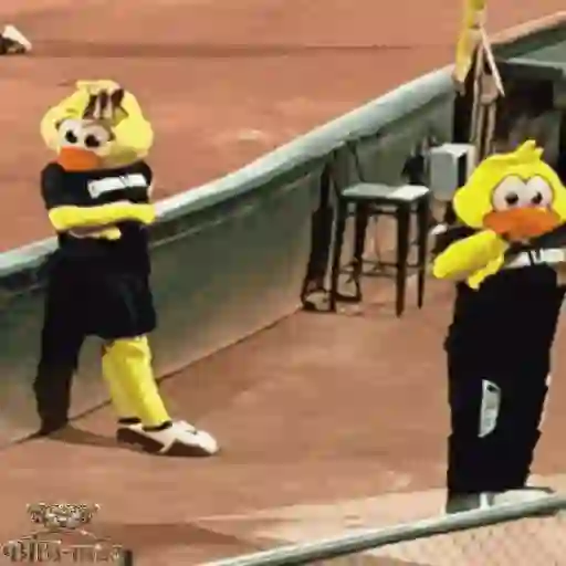 Mascotas Pollo y Pia Algodoneros Unión Laguna⚾֍1🇲🇽Movi 18