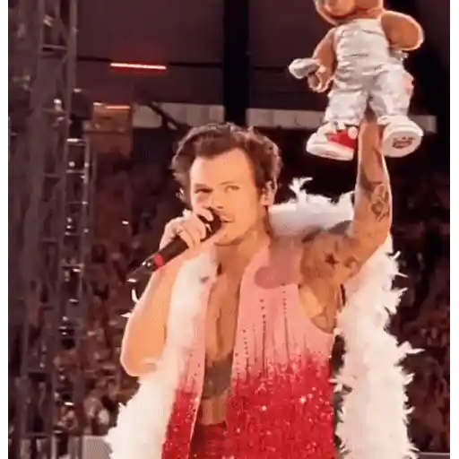 Harry Styles 2 🧸🇲🇽 25
