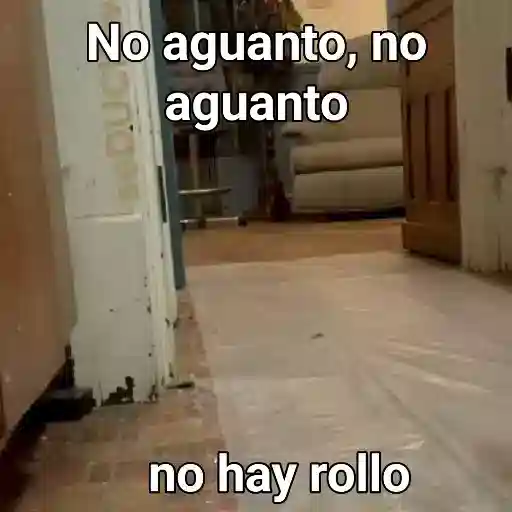 Animales 5 14