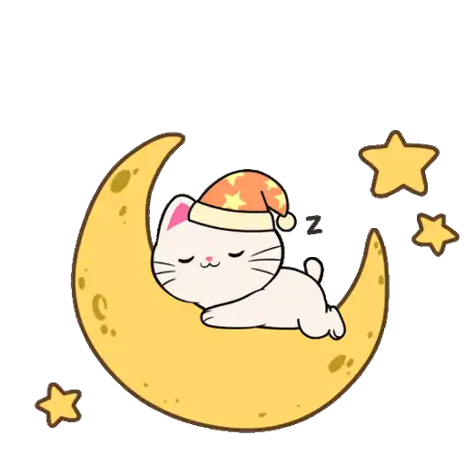 Silly Kitties✨🐱.mov 18