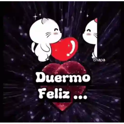 Amor Luci 3