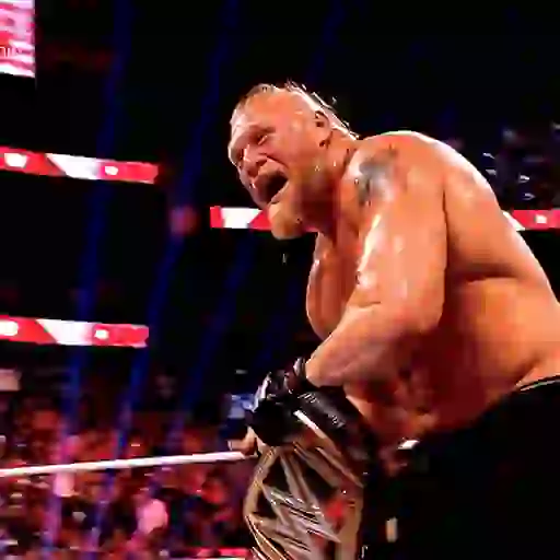 🔥 Brock Lesnar 💪🏼 14