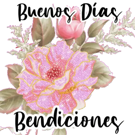 VARIOS DÍAS 27