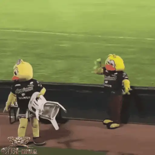 Mascotas Pollo y Pia Algodoneros Unión Laguna⚾֍1🇲🇽Movi 24