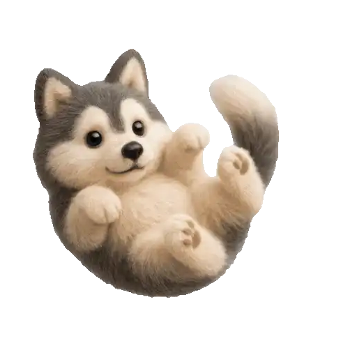 Animalitos✨🐼 3D. Mov 3