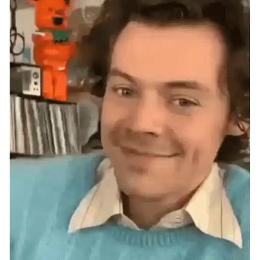 Harry Styles 2 🧸🇲🇽 3