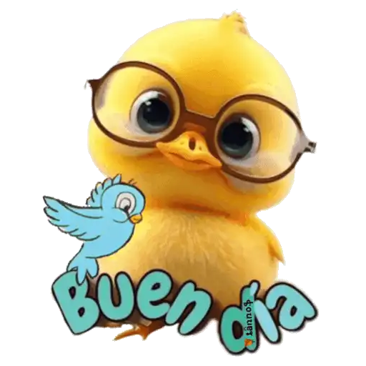Buenos días 🌞13 MOV.🇲🇽 24