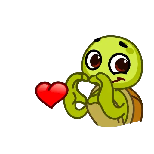 tortu mov 8
