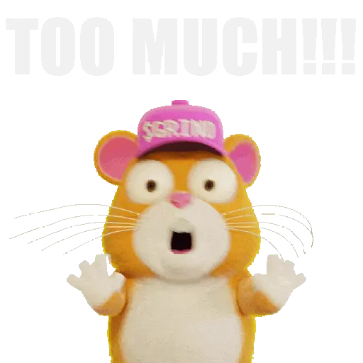 Hámster con Actitud 🐹🌷 14