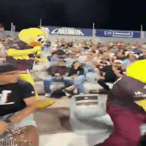 Mascotas Pollo y Pia Algodoneros Unión Laguna⚾֍1🇲🇽Movi 5
