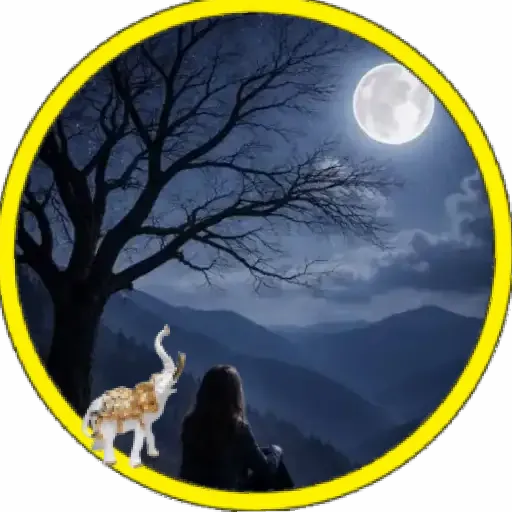 Luna🌙💞2🇵🇪Movi 20