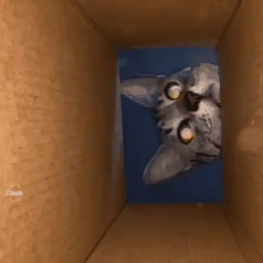 😼 Gatos e Caixas 📦 25