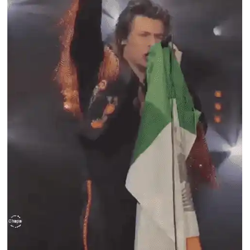 Harry Styles 2 🧸🇲🇽 11