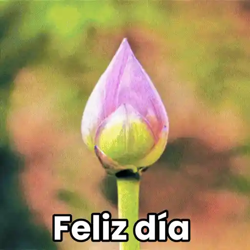 ✮⋆˙Viral tendencia 😎  8    ♱ 21