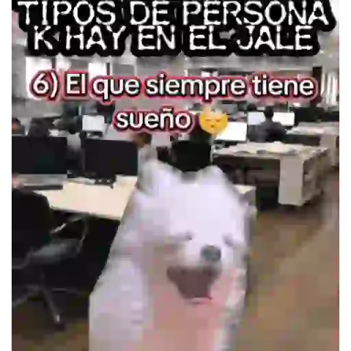 Mix 22 🧸🇲🇽 20