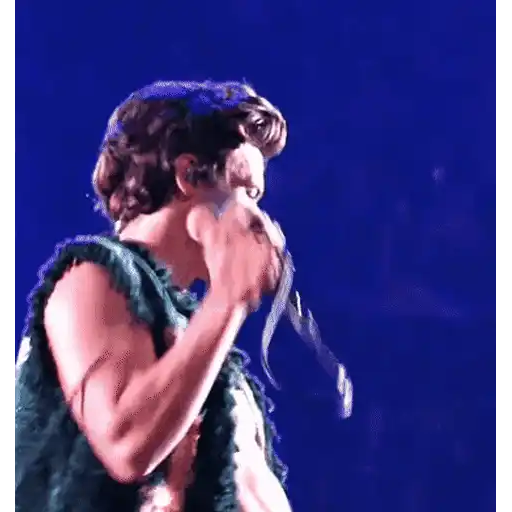 Harry Styles 🧸🇲🇽 22