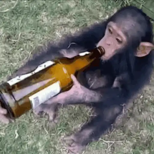 Mámate Becerro 🧸🇲🇽 20