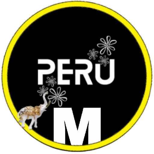 Abc(Fiestas patrias)💞1🇵🇪Movi 13