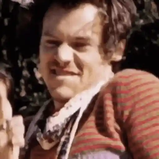 Harry Styles 2 🧸🇲🇽 1