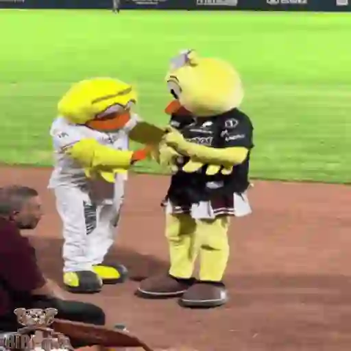 Mascotas Pollo y Pia Algodoneros Unión Laguna⚾֍1🇲🇽Movi 11