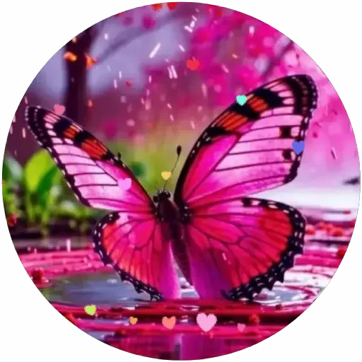Animalitos Cute💞5🇵🇪Movi 29