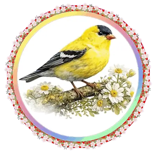 PAJAROS 🦜🦉 23