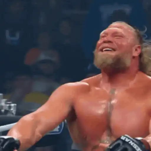 🔥 Brock Lesnar 💪🏼 27
